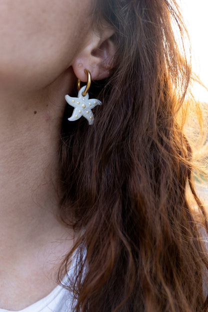 Stella Nacré 🐚
