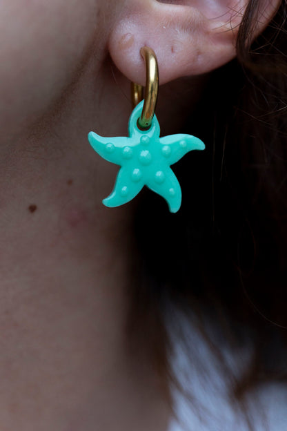 Stella Aqua 🐬